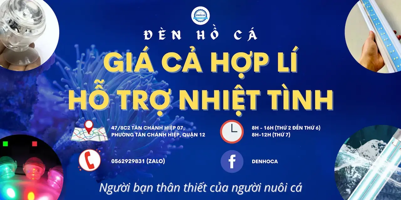 Đèn Hồ Cá 1 Shop Chuyên Cung Cấp Sỉ Và Lẻ Các Sản Phẩm Đèn Hồ Cá , Đèn Bể Cá Cảnh Thủy Sinh , Giao Hàng Toàn Quốc Vào Bảo Hành Đèn Cho Khách Hàng