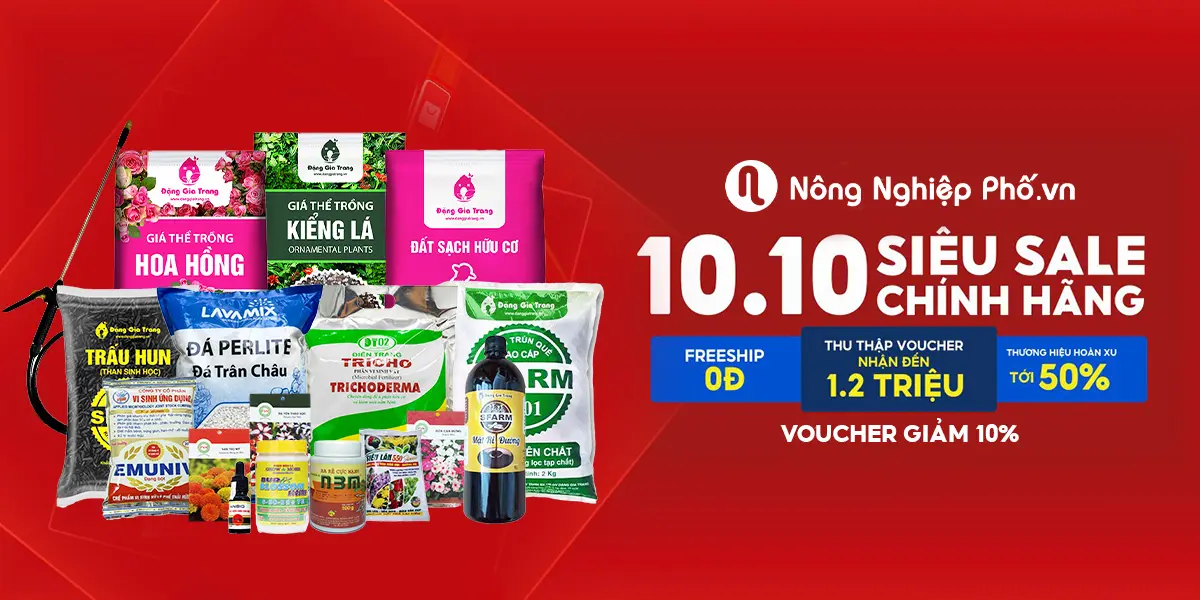 Với Hơn 1000+ Sản Phẩm Làm Vườn, Nông Nghiệp Phố Sẽ Giúp Bạn Dễ Dàng Bắt Tay Ngay Vào Việc “trồng Rau - Tránh Dịch” Ngay Tại Nhà Nhé!