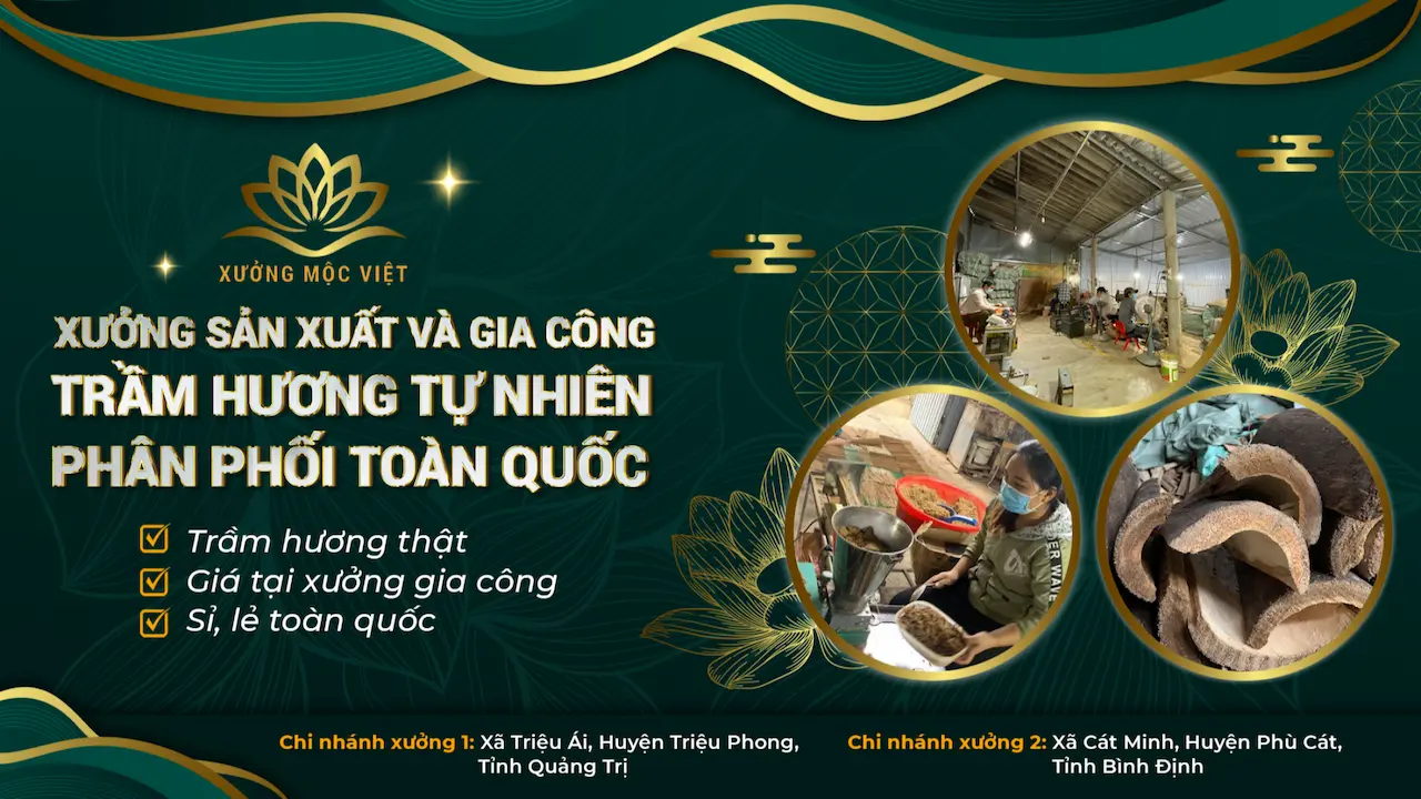 Công Ty Cổ Phần Xưởng Mộc Việt 1 Xưởng Sản Xuất Và Gia Công Trầm Hương Tự Nhiên Phân Phối Toàn Quốc