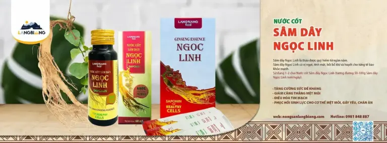 Nông Sản Langbiang Ra Đời 2017 Trên Cơ Sở Liên Kết Và Kết Hợp Các Trang Trại, Nhà Vườn Tại Thành Phố Đà Lạt Và Huyện Lạc Dương