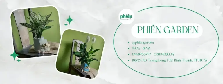 Phiên Garden Vườn Xanh Mong Muốn Trở Thành Người Bạn Đồng Hành, Là 1 Sợi Dây Kết Nối Giữa Con Người Và Thiên Nhiên , Mang Lại Giá Trị Cân Bằng Trong Cuộc Sống.