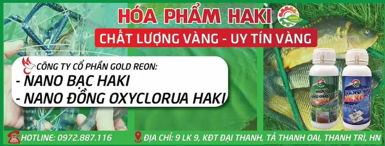 Hóa Phẩm Haki Mua Nano Bạc Haki Trị Nấm Cho Cá Cảnh, Làm Trong Nước Bể Cá, Ao Nuôi, Khử Mùi Hôi Tanh, Xử Lý Nước Chai 500ml Giá Tốt.