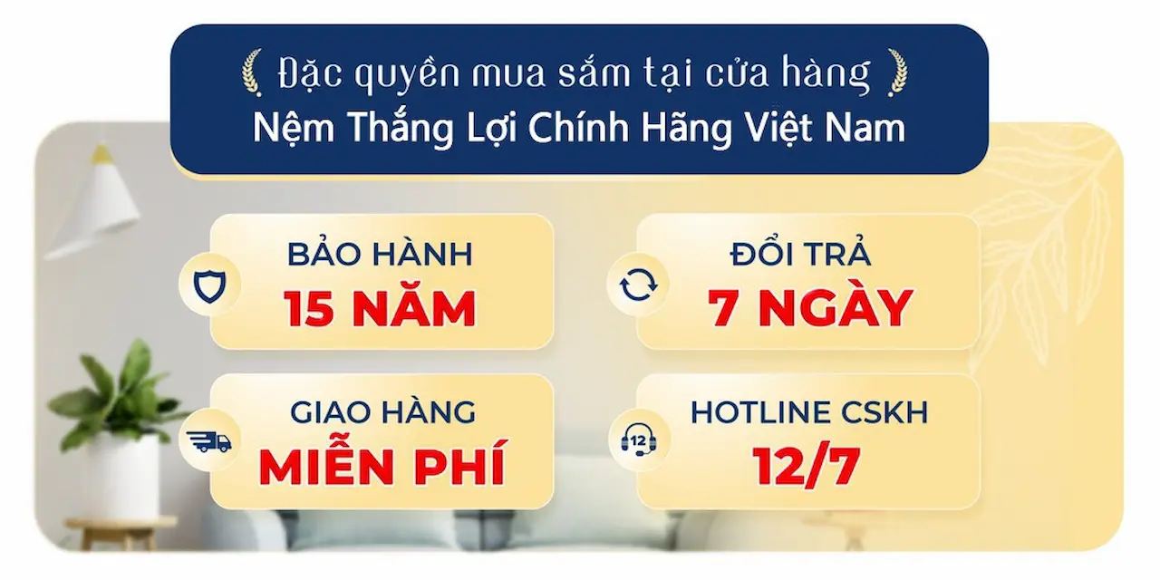 Nệm Thắng Lợi Nhà Sản Xuất, Chuyên Cung Ứng Nệm Thắng Lợi Toàn Quốc Cam Kết 100% Đệm Chính Hãng Chất Lượng Với Thời Gian Bảo Hành Lên Đến 15 Năm.