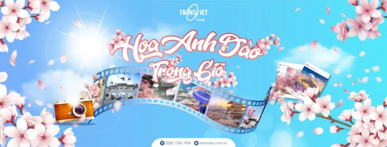 Du Lịch Trần Việt Công Ty Transviet Top 10 Công Ty Du Lịch Hàng Đầu Việt Nam Tự Hào Đã Làm Hài Lòng Hơn 10 Triệu Lượt Khách Và Nhiều Đối Tác Lớn.
