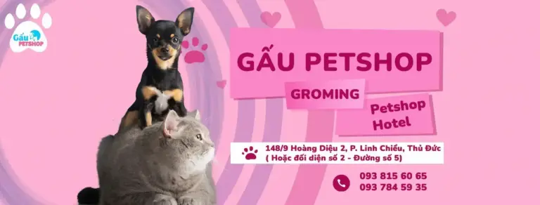 Gaupetshop2018 Gấu Petshop Chuyên Thức Ăn - Phụ Kiện Cho Thú Cưng Dịch Vụ Grooming - Hotel Thú Cư