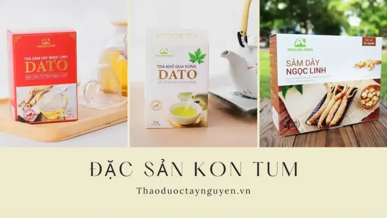 Công Ty Tnhh Thảo Dược Tây Nguyên Trồng Và Khai Thác Dược Liệu Vùng Núi Ngọc Linh Để Tạo Ra Các Sản Phẩm Với 1 Chất Lượng Nâng Cao Sức Khỏe Người Dùng.
